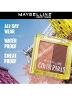 COLOR RIVAL