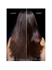 Ultimate Blends Balancing Shampoo Charcoal & Black Seed Oil