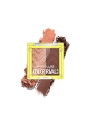 Color Rivals Eyeshadow Palette Duo